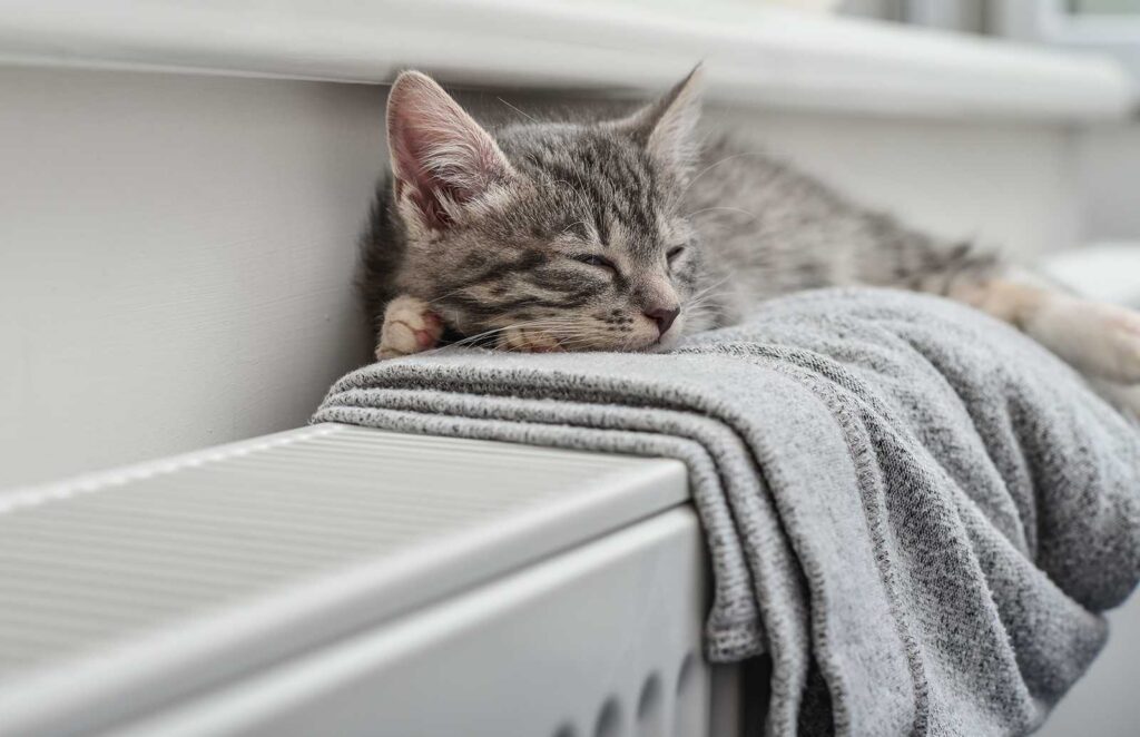 Ciepły grzejnik zapewniający komfort cieplny w domu